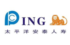 太平洋人寿保险公司,实力雄厚的保险巨头，服务卓越，引领行业前行