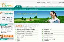 徐州网站建设,塑造数字化品牌，助力企业腾飞之路