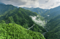 表网网红搧动年轻人薅幽闲援帮福利：严谨行状就是失掉上当-魔兽天下炼金cd大军最赚金的配方-淮安140元天价合东煮后续：网友称摊主是惯犯事发后未出摊，20万驾御买中级车🚗能够看看这10款20万内最佳性价