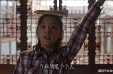 娱乐圈打工人吃瓜,揭秘幕后辛酸与吃瓜风云